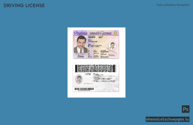 USA Virginia Führerschein Beispielvorschau